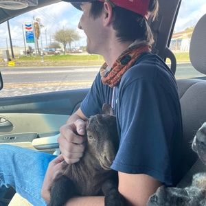 Meet your Posher, Alex